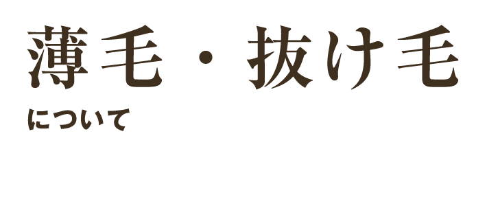 薄毛・抜け毛について