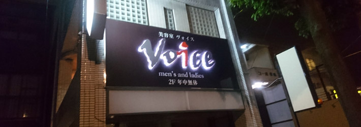 VOICE